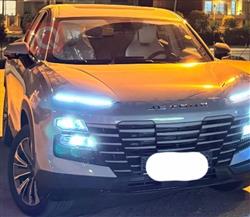 جيتور داشينج